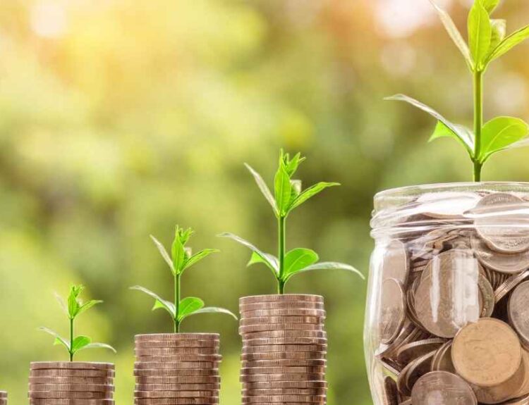 Top 5 Small Cap Funds for SIP in 2025