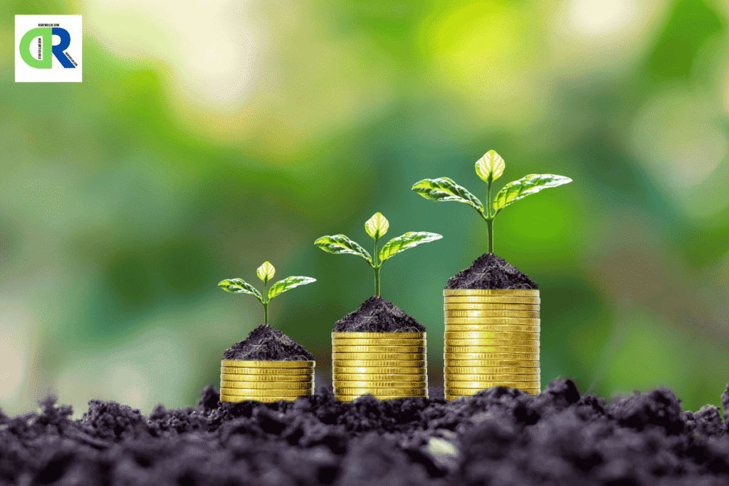 Top 5 Large-Cap Mutual Funds to Invest in 2025