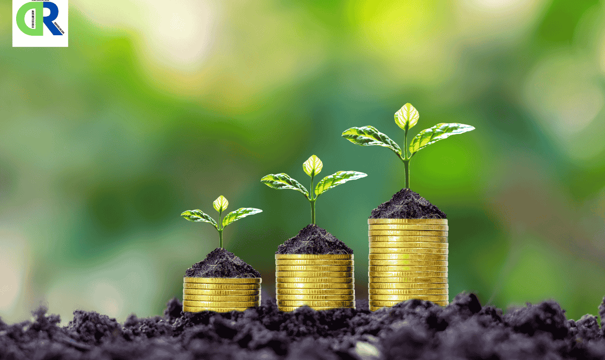 Top 5 Large-Cap Mutual Funds to Invest in 2025
