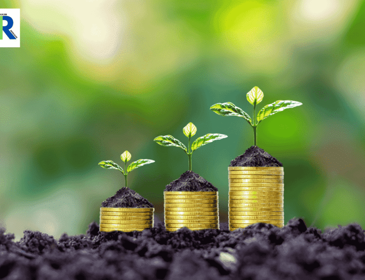 Top 5 Large-Cap Mutual Funds to Invest in 2025